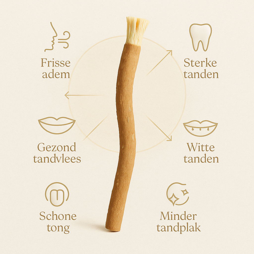 Voordelen miswak — frisse adem, schoon tandvlees, witte tanden, minder tandplak