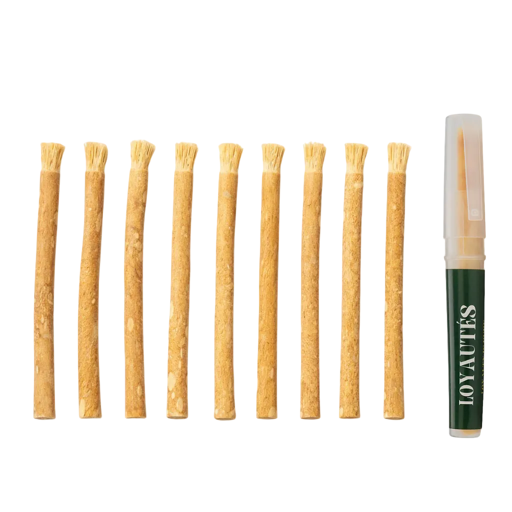 miswak 10 stuks met houder — voordeelpakket natuurlijke tandenborstel
