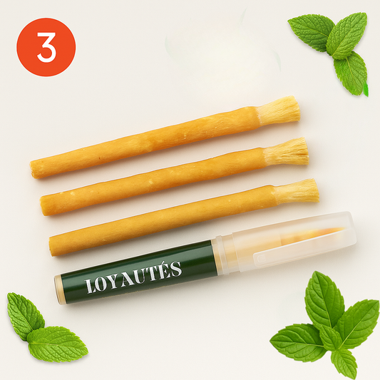 Mint Miswak 3 stuks Met Houder