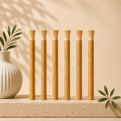 Zes Premium miswak navullingen op travertijn — LOYAUTÉS kwartaalabonnement