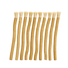 Miswak navullingen — tien losse miswak sticks van Salvadora persica