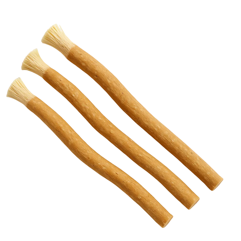 Miswak navullingen — drie losse sticks Salvadora persica voor je houten houder