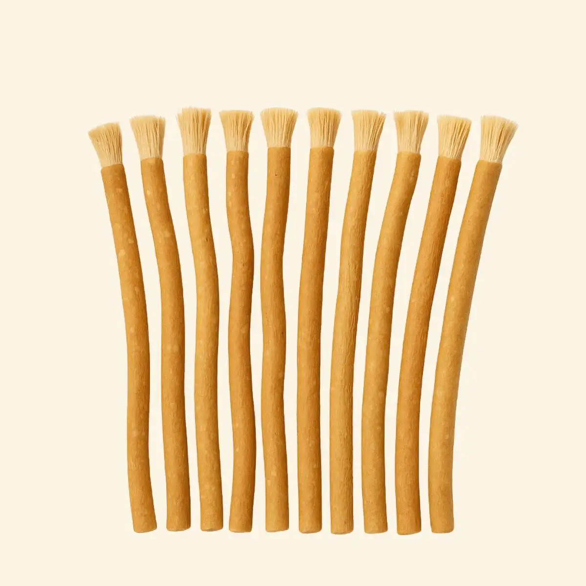 Miswak - Siwak | 10 Stuks